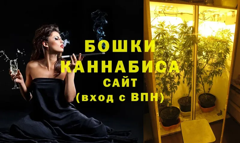 Бошки марихуана SATIVA & INDICA  купить  цена  Боровичи 